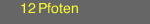 12 Pfoten