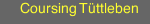 Coursing Tüttleben