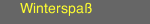 Winterspaß